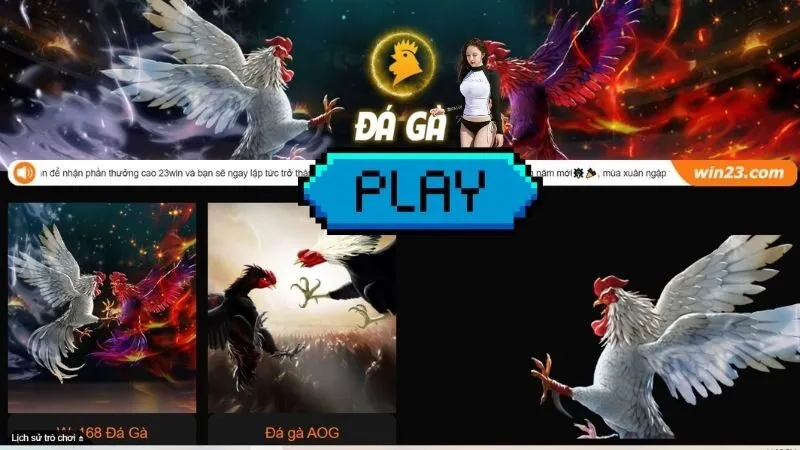 Đá Gà 23win
